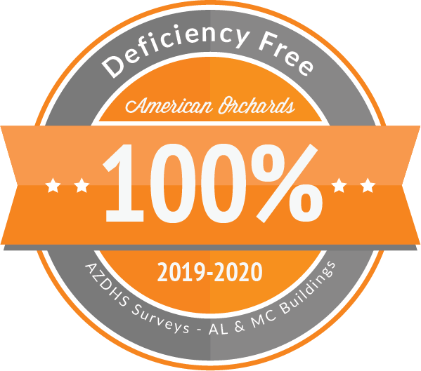 Arizona DHS Zero Deficiency Badge for 2016-2017